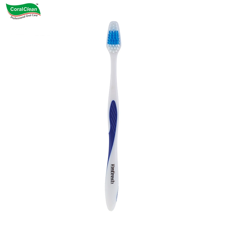 Transparent Handle Toothbrush, Adult Toothbrush, Tooth Brushes