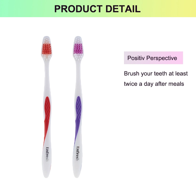 Transparent Handle Toothbrush, Adult Toothbrush, Tooth Brushes