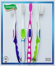 Hot Sale Colorful Adult Toothbrush