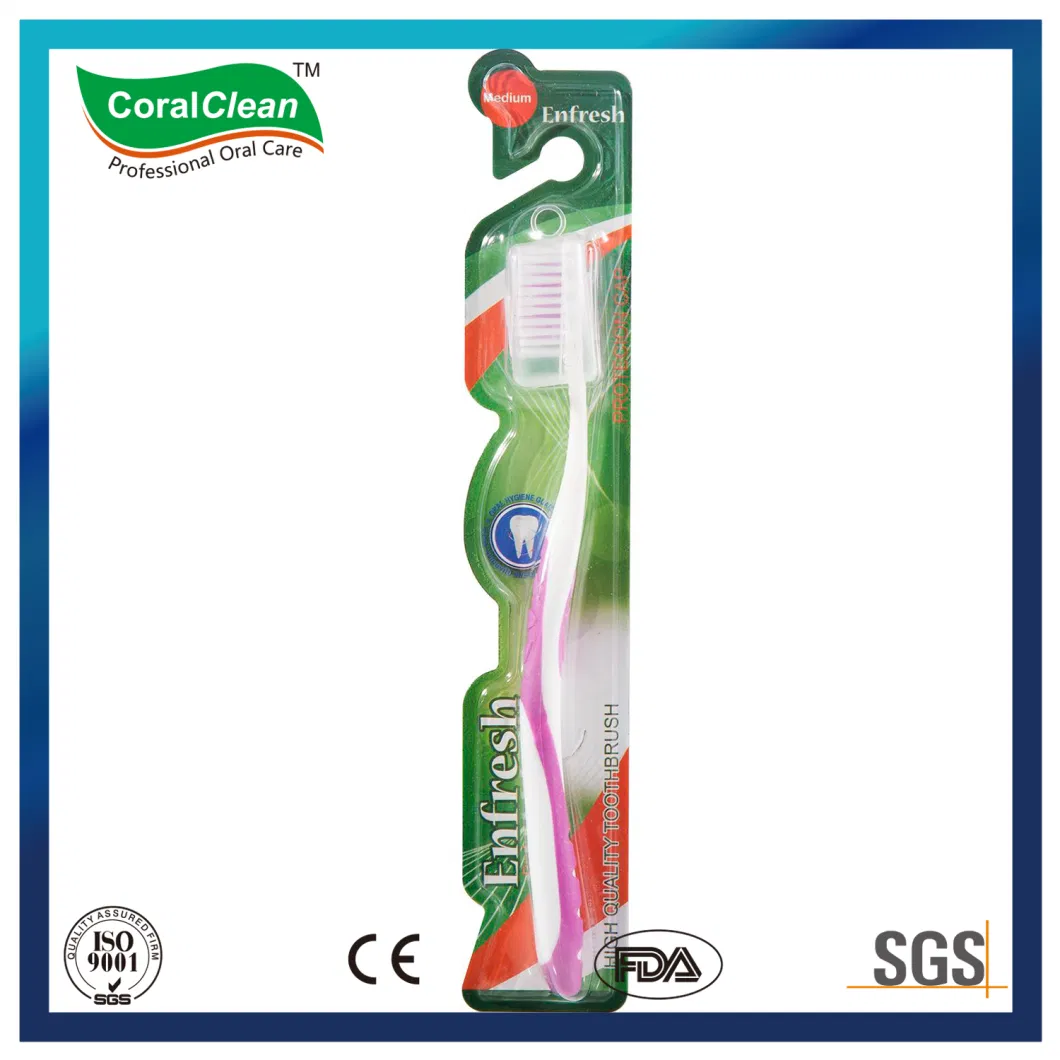 Three Components Toothbrush Home Use Toothbrushes