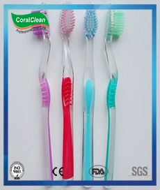 Transparent Handle Toothbrush, Adult Toothbrush, Tooth Brushes