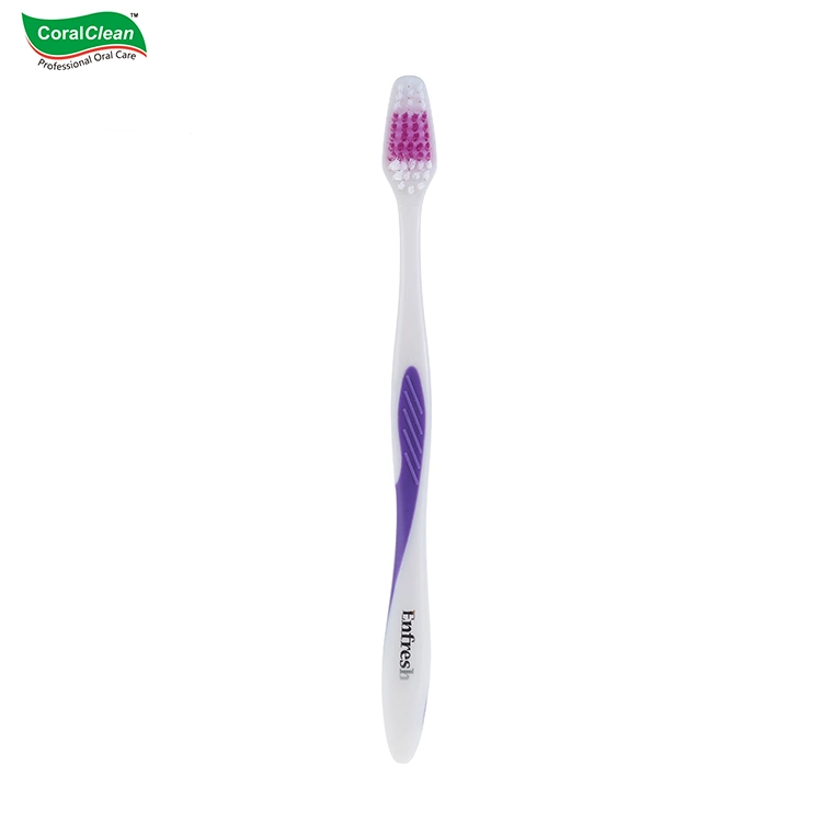 Adults&prime; Nylon Bristle Toothbrush with Colorized Transport Handle