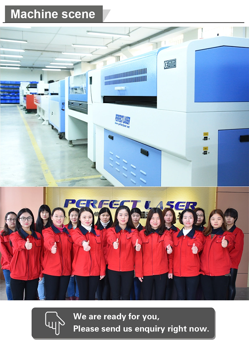 3D Large Format CO2 Laser Marking Machine for Wood Leater Fabric