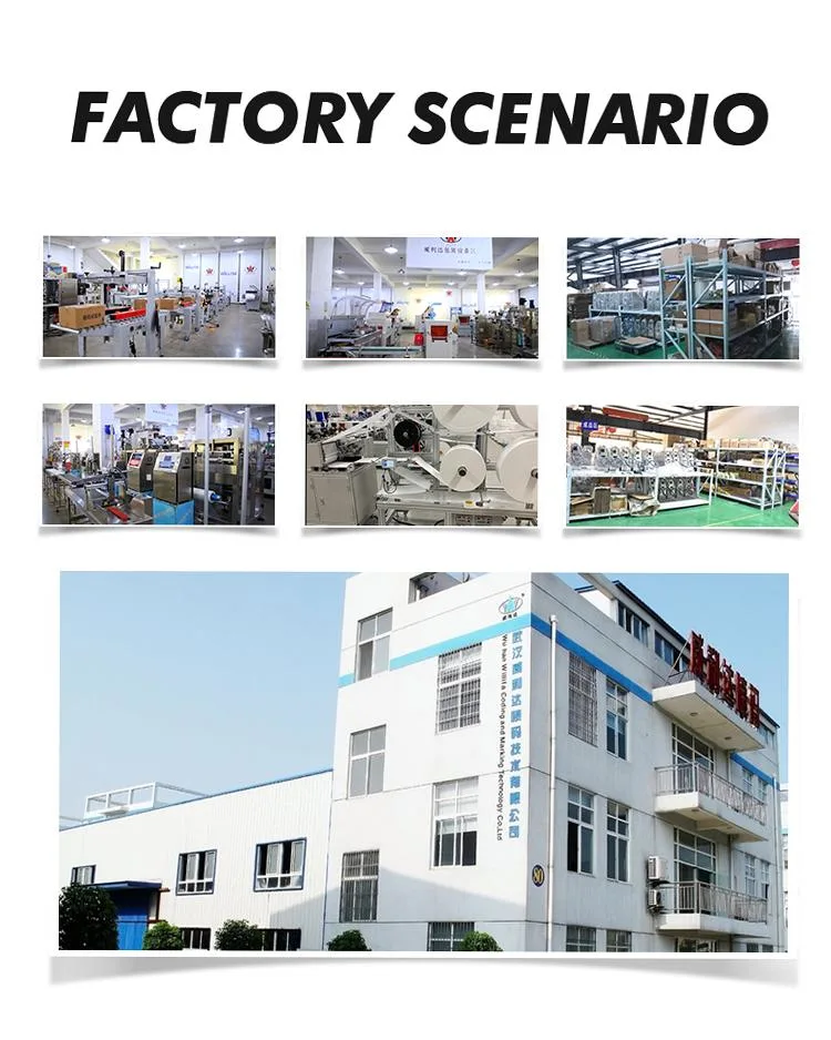 Automation Extrusion Lines Wires Cables Tubes and Pipes Qr Code Coding Fiber 20W 30W CO2 Laser Wire Marking Machine