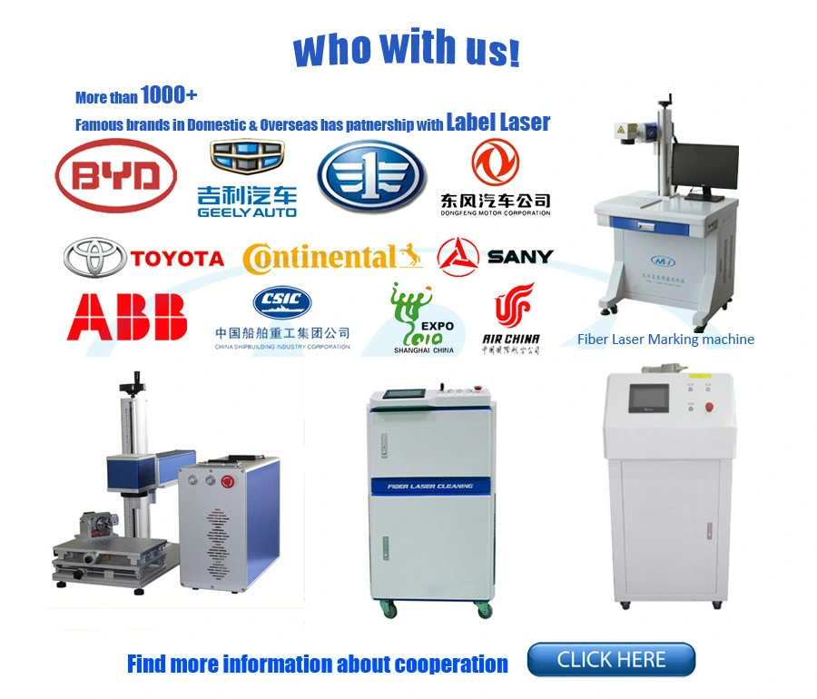 Enclosed Safety Cover 20W 30W 50W 70W 100W Laser Marking Machine Equipment