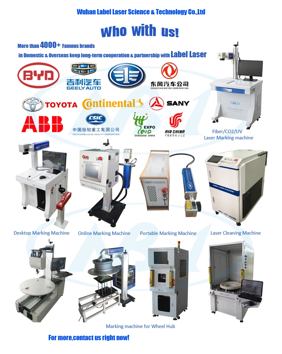 Flying Fiber/CO2/UV Laser Marking Machine for Package Bag/ Bottle Date/ Lot No/ Logo Printing