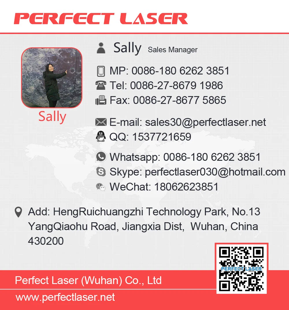 Perfect Laser CO2 Portable Laser Marking Machine