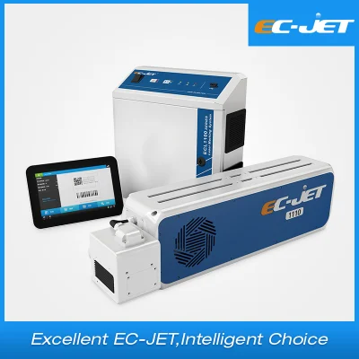 Stampante laser per plastica per marcare la data di scadenza e il codice a barre (ECL1100)