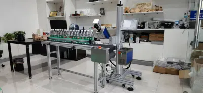 Stampante laser per bottiglie di plastica per animali laser laser Flying CO2 laser Macchina con trasportatore per stampa numero di serie
