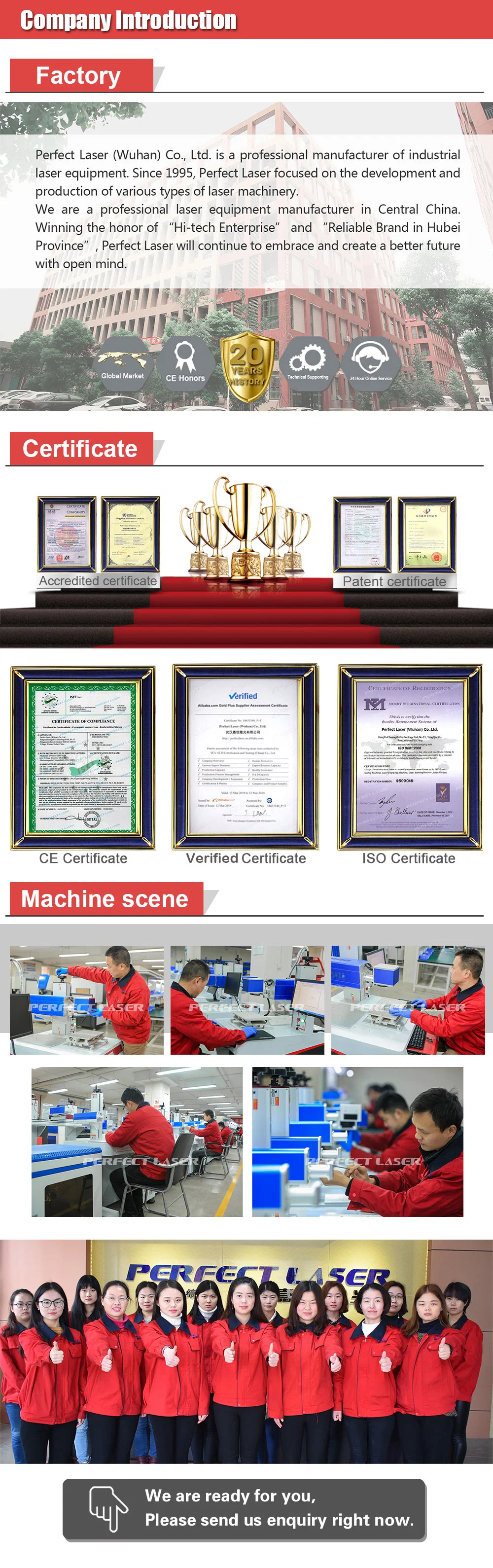 Perfect Laser - Date Online Flying CO2 Laser Marking Machine for Wood Plastic Leather