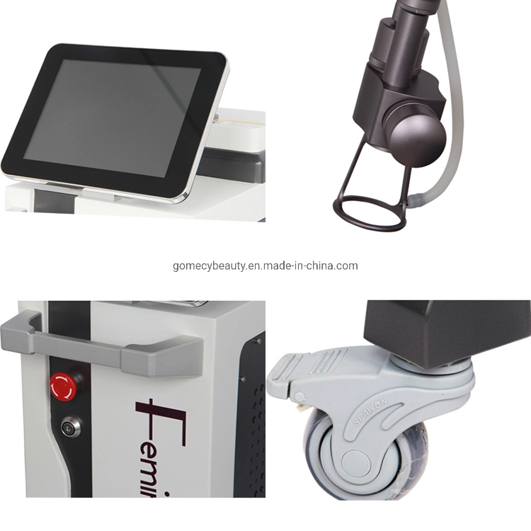 Pigment Scar Wrinkle Removal Skin Care Medical CO2 Laser Beauty Equipment CE Approved Vagina Tightening Fractional CO2 Laser Machine