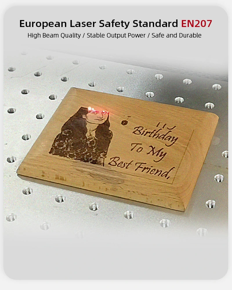 Portable Price 30W CO2 Fiber Laser Marking Machine for Food/Plastic/Wood