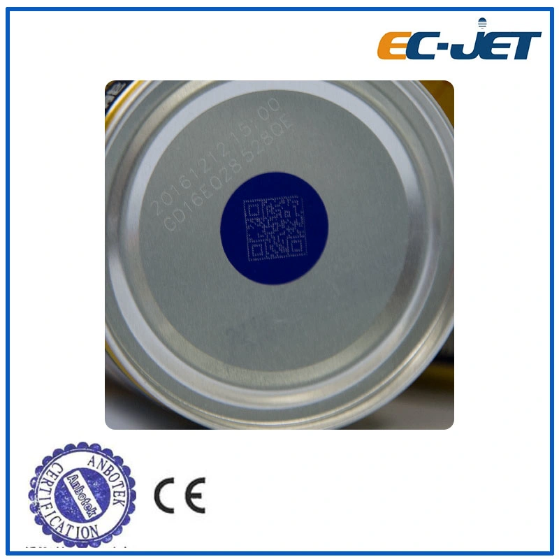 Expiry Date Upgrade Marking Machine Laser Coding Printer for Steel (ECL1100)