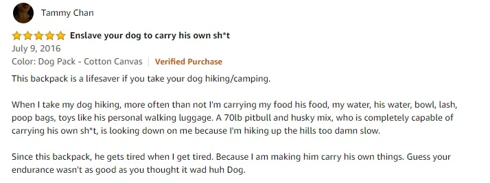 Hiking Pack for Dogs