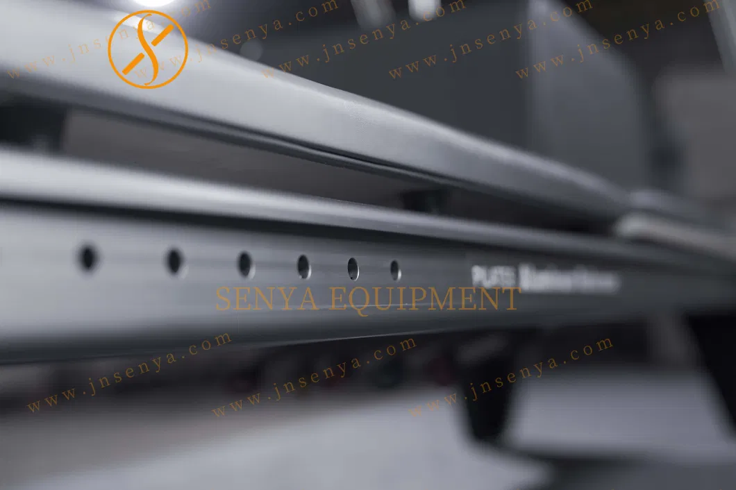 Senya Factory Supply Indoor Private Body Health Exercise Equipment Aluminum Steel Pilates Bed Reformer for Workout Studio