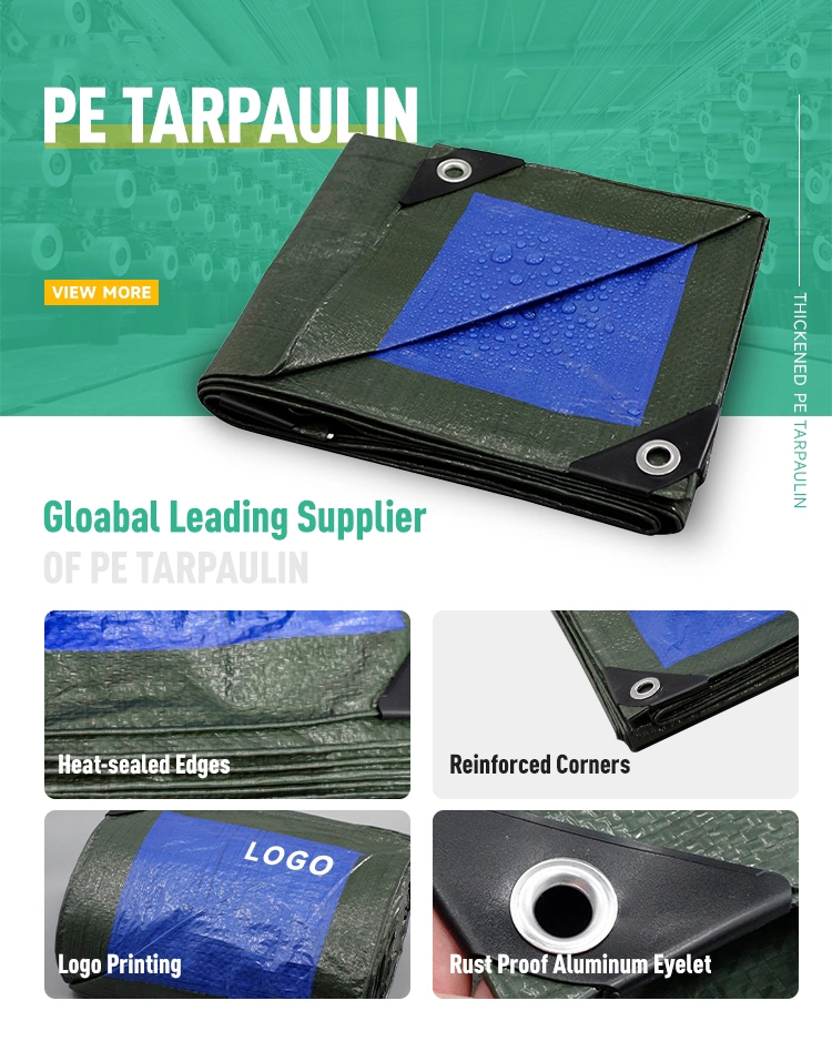 High Quality Waterproof PE Tarp Garden Leaf Container Bag Supplier