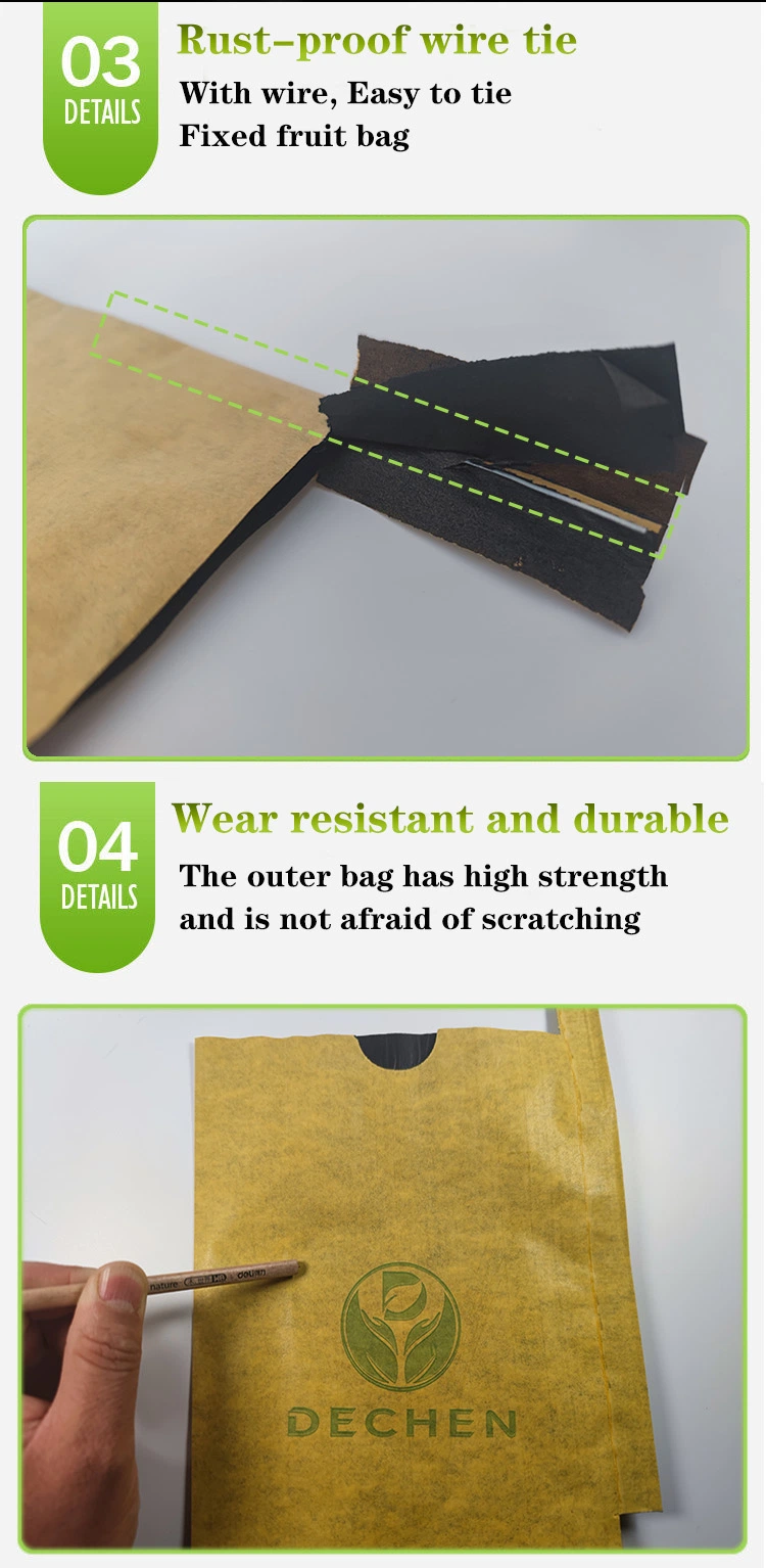 Tree Bags Single Layer Paper Mango Protection Packing Bag