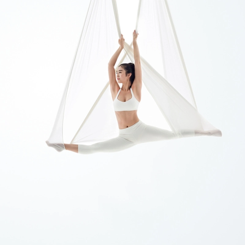 Buy Flying Trapeze Frame Air Foldable Aerial Yoga Swing Stand Yoga Hammock Streching