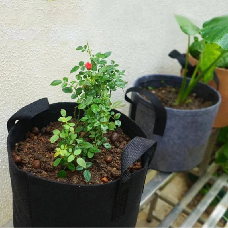 2 or 5 Gallon Plant Grow Bags Growing Potato Home Garden Tools 7 Gallon 10 Gallon Planting Bag Flower Fruit Tree Fabric Pots