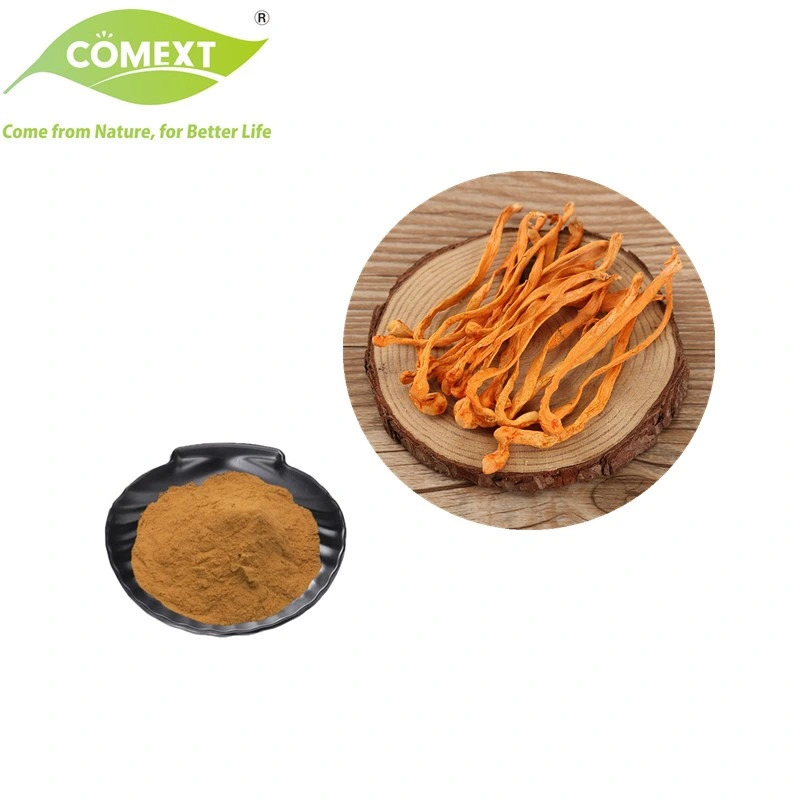 Comext Top 100% Pure Bulk Supply Cordyceps Militaris Powder for Health Food