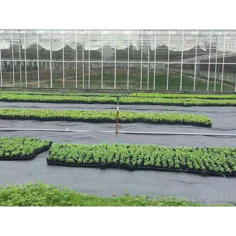 PP Weed Barrier Horticulture Plastic Woven Weed Control Mat Ground Cover for Agricultural Plantings/Greenhouse/Garden Vegetables Flowers Usage