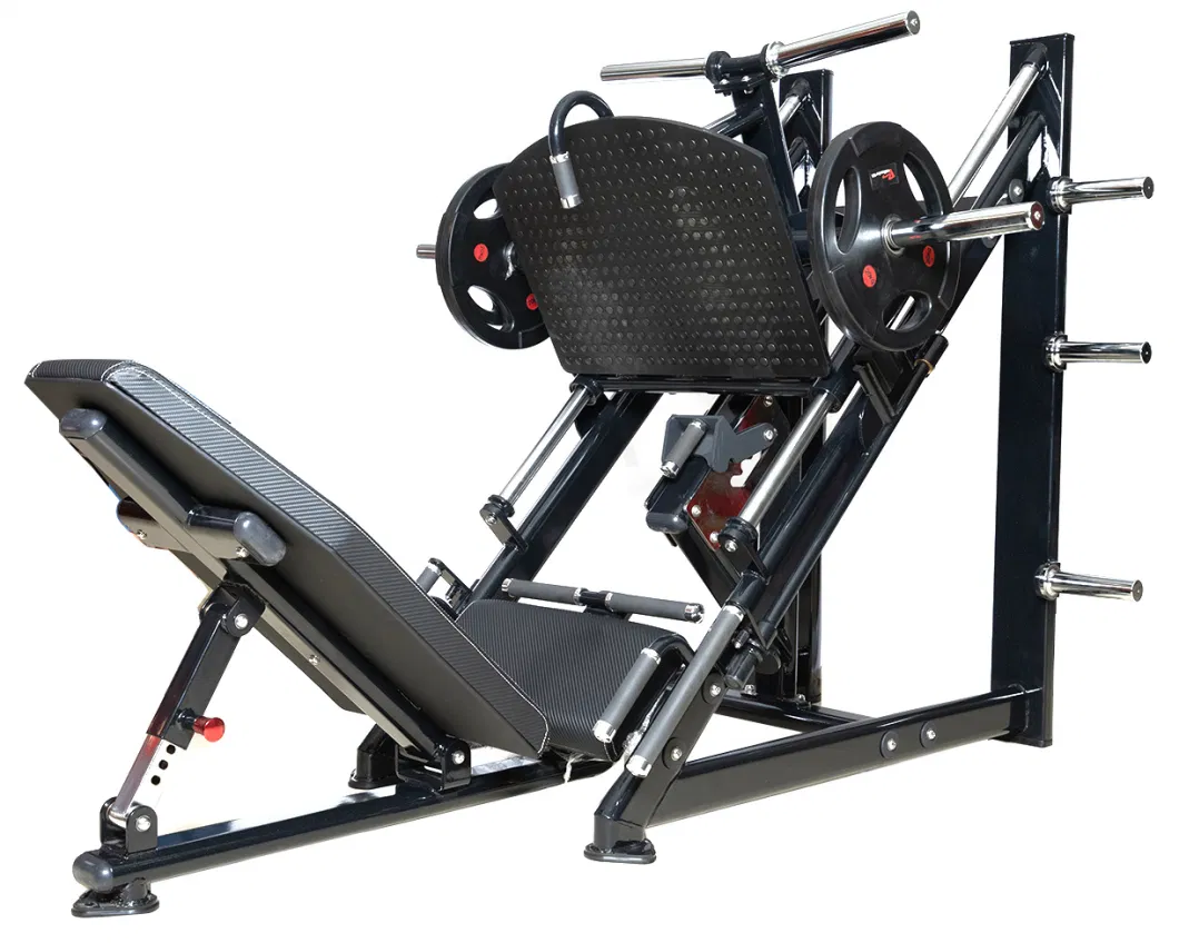 Real Leader Fitness Equipment High-End 45 Degree Leg Press (FM-1024D) for Gym