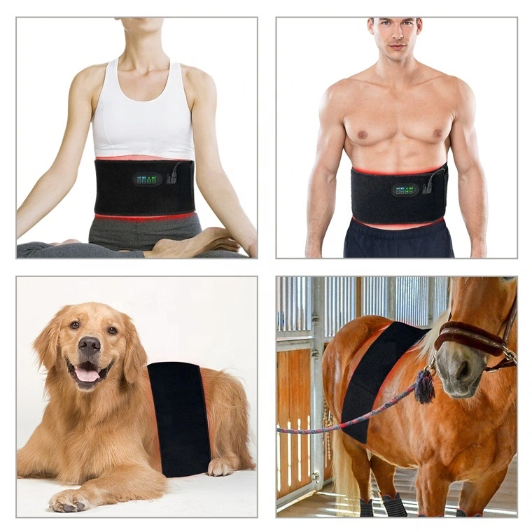 Red Light Belt for Athletes and Fitness Centers to Invest in Health and Performance