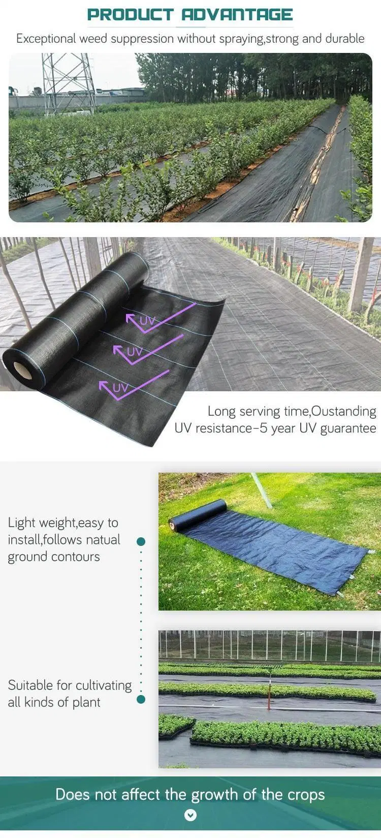 PP Woven Garden Weed Mat Agriculture Ground Cover