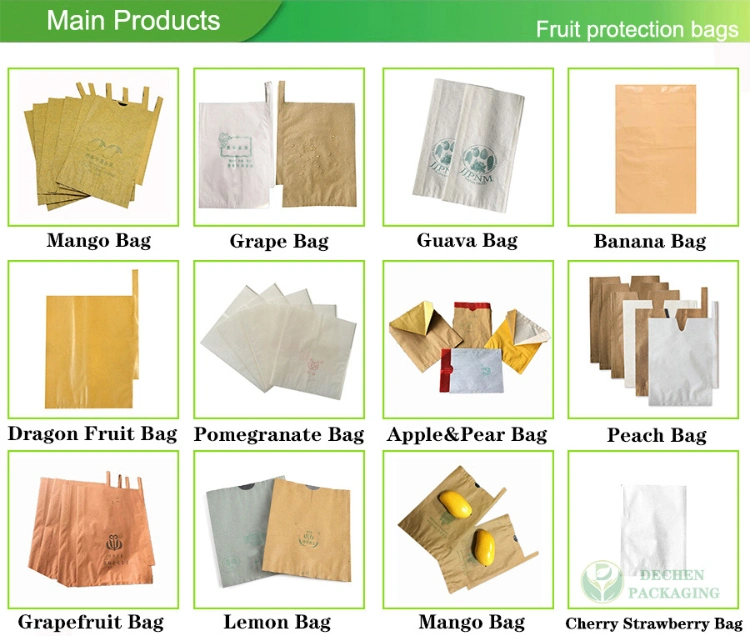 Tree Bags Single Layer Paper Mango Protection Packing Bag