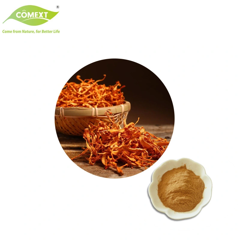 Comext Supply Free Sample Organic Cordyceps Militaris Extract Polysaccharide for Health Care