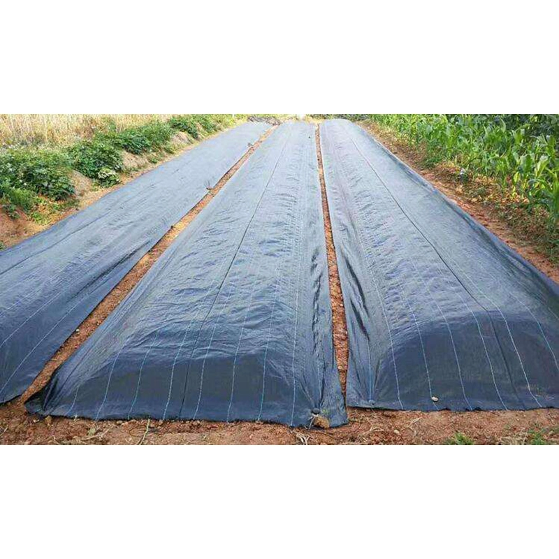 PP Weed Barrier Horticulture Plastic Woven Weed Control Mat Ground Cover for Agricultural Plantings/Greenhouse/Garden Vegetables Flowers Usage