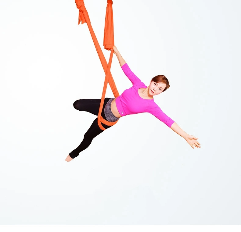 Buy Flying Trapeze Frame Air Foldable Aerial Yoga Swing Stand Yoga Hammock Streching