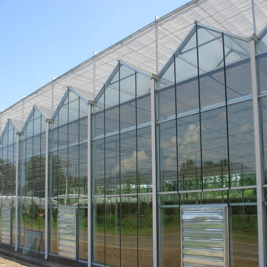 Venlo Hollow Double Tempered Glass Greenhouse with Hydroponics Growing System for Vegetables/ Flowers/ Tomato/ Farm/ Garden/ Eco Restaurant / Agriculture