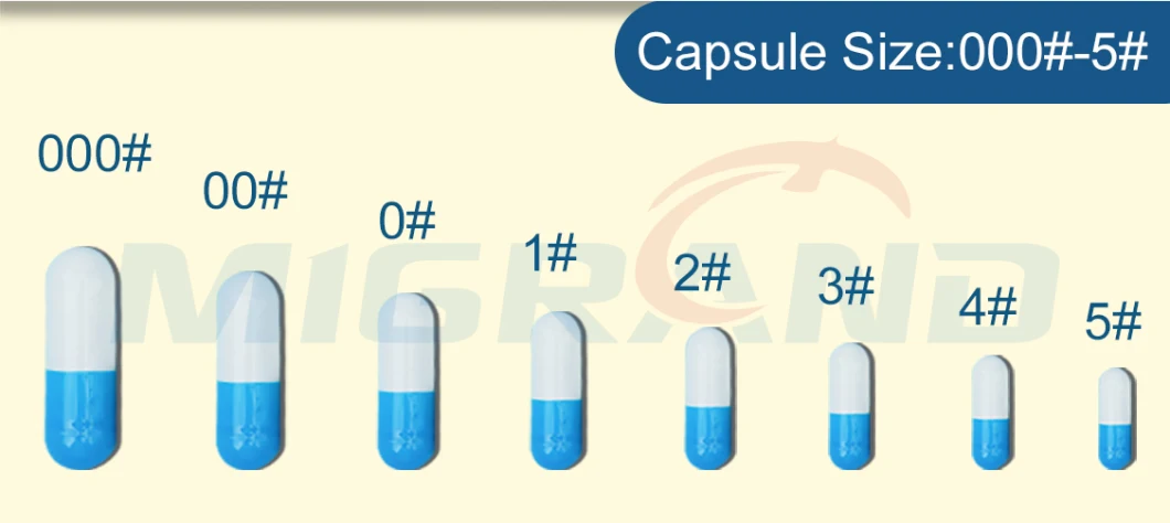 Njp 400 Sleep Formula Powder Pill Automatic Capsule Fill Machine Equipment