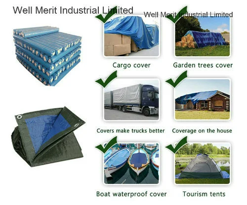 Blue Sheet Poly Tarp PE Tarpaulin for Japan Market