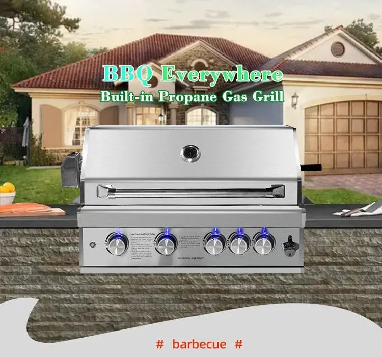 Family Household BBQ Commercial Outdoor Barbecue Gas Built in Grill