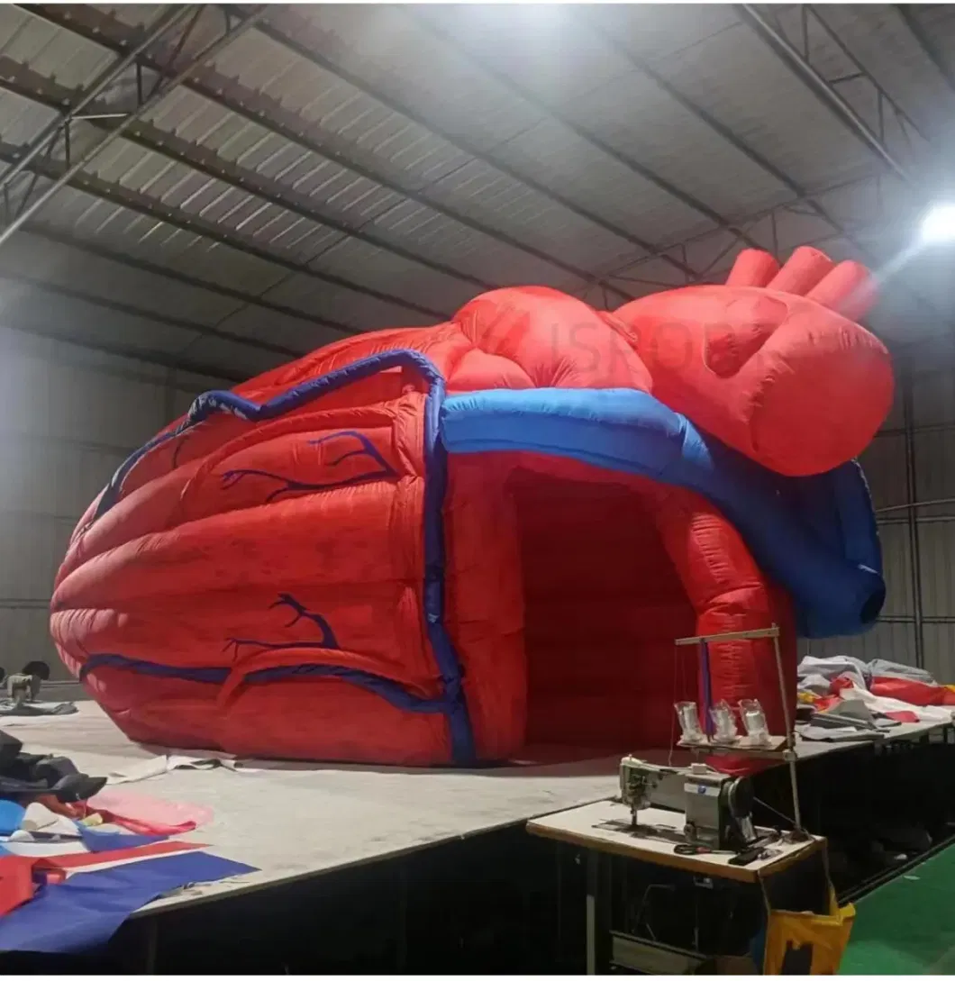 Inflatable Heart Tent Model Human Body Large Organs Medical / Inflatable Exhibits for Hospital Event &amp; Health Expo