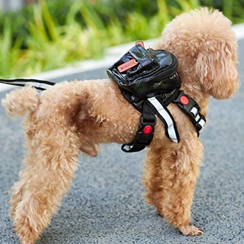Dog Backpack Harness with Leash Puppy Small Dog Saddle Bag Back Packs for Hiking Travel Camping