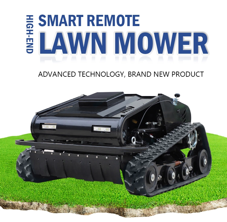 Remote Control / Robot /Gasoline / Electric /Garden / Flail Mower Hand Push /Disc / Ride / Finishing / Grass / Power Lawn Mower for Agriculture Industry