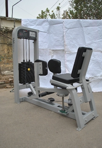 Fitness Equipment / Gym Equipment / Life Fitness Equipment / Hip Abduction (SS12)