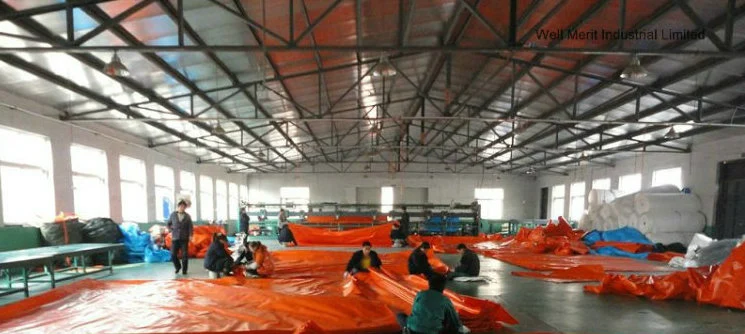 Blue Sheet Poly Tarp PE Tarpaulin for Japan Market