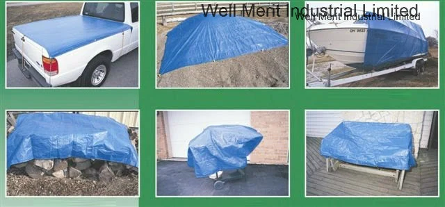 Blue Sheet Poly Tarp PE Tarpaulin for Japan Market