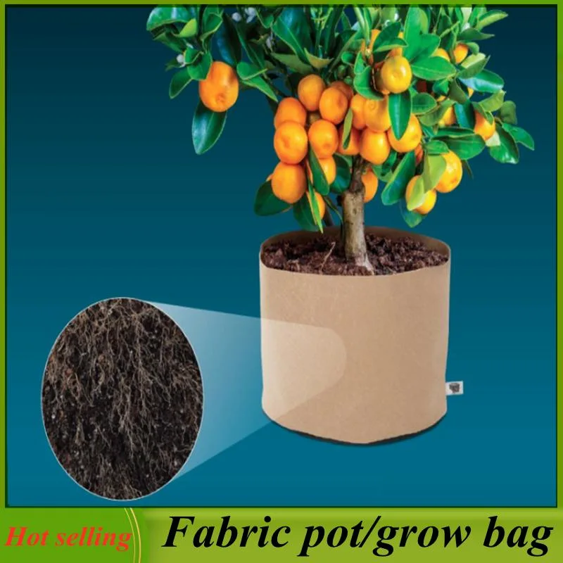 50gallon Grow Bag for Planting Tree