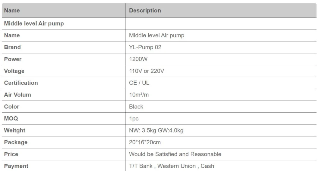 Portable Electric Air Pump for Air Mattress Inflate and Deflate