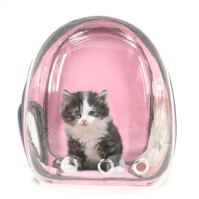  Esterno impermeabile trasparente confortevole spalla Accessori di fornitura approvati per Airline all&prime;ingrosso Zaino con custodia shock PET Space Capsule con 5% di sconto