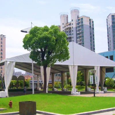 Portabile grande cornice in alluminio Marquee/Gazebo Outdoor Trade Show/Beach/Square Pop up Tenda pieghevole con moquette