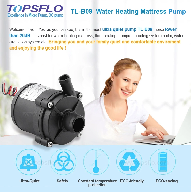 Topsflo 12V Excellent Ce, RoHS Silent Cool Warm Water Air-Conditioned Mattress Pump