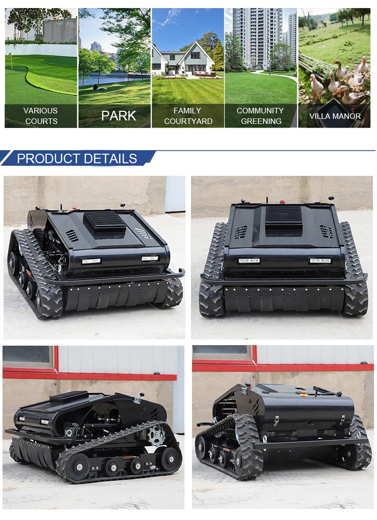 Remote Control / Robot /Gasoline / Electric /Garden / Flail Mower Hand Push /Disc / Ride / Finishing / Grass / Power Lawn Mower for Agriculture Industry