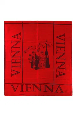 Fashion Fringe Scarf Soft Feeling Viscose Winter Scarves