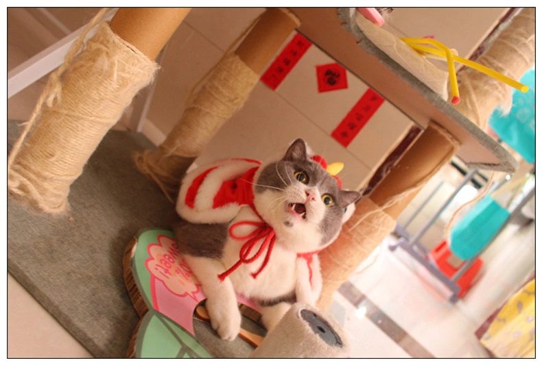 Pet Wake -up Lion Cape Cat Clothing Clothes Cape Lion Dance Shawl